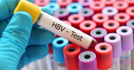 Wirus HBV – czym jest i jakie są objawy zakażenia?
