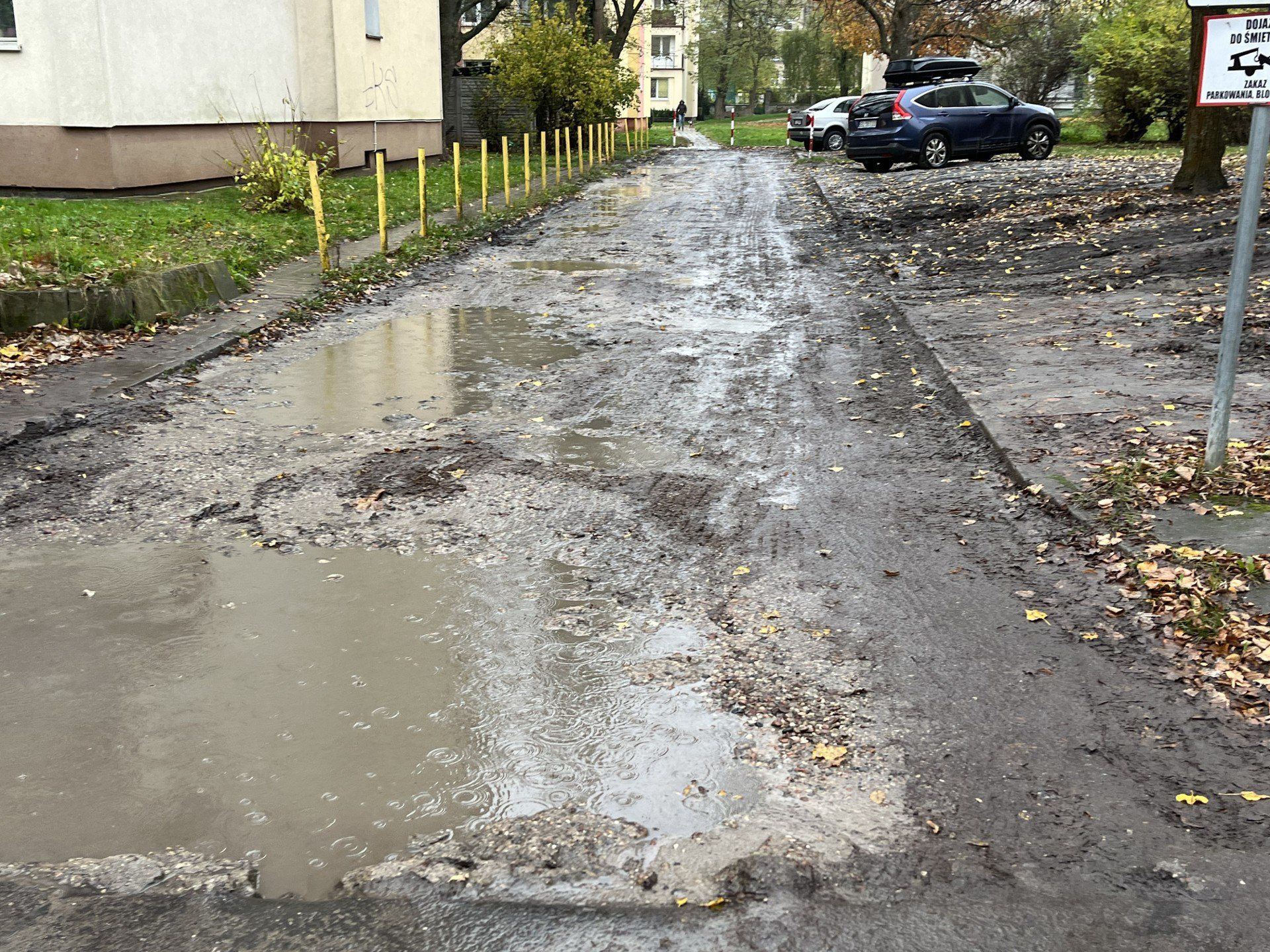 Osiedle Nowe Rokicie przy ul. Komfortowej