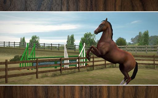 MyHorse