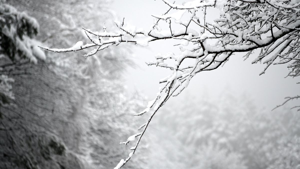 IMGW ostrzega, że zbliżająca się noc ma być bardzo mroźna