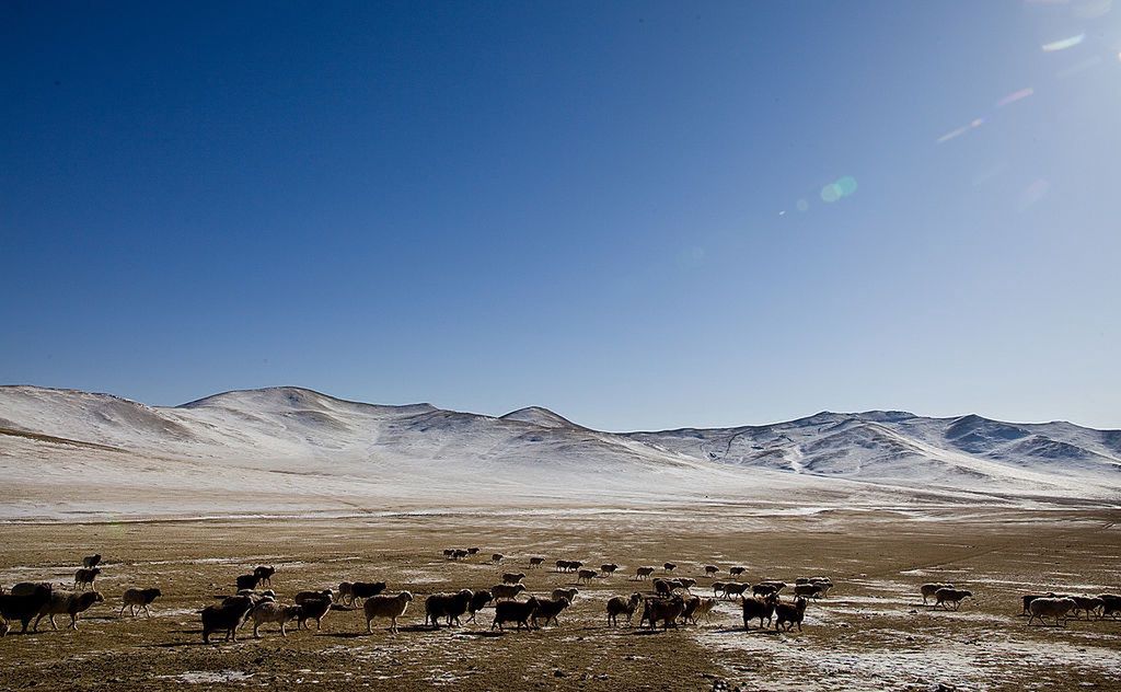 Mongolia – co warto wiedzieć o kraju stepów i bezdroży. Co zobaczyć w Mongolii?