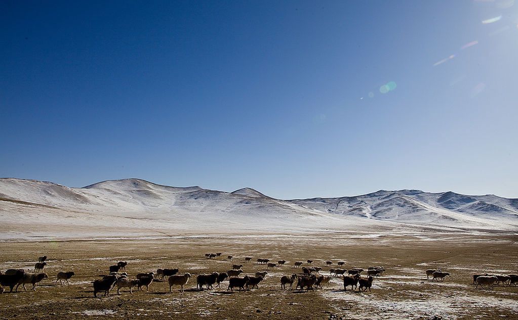 Mongolia