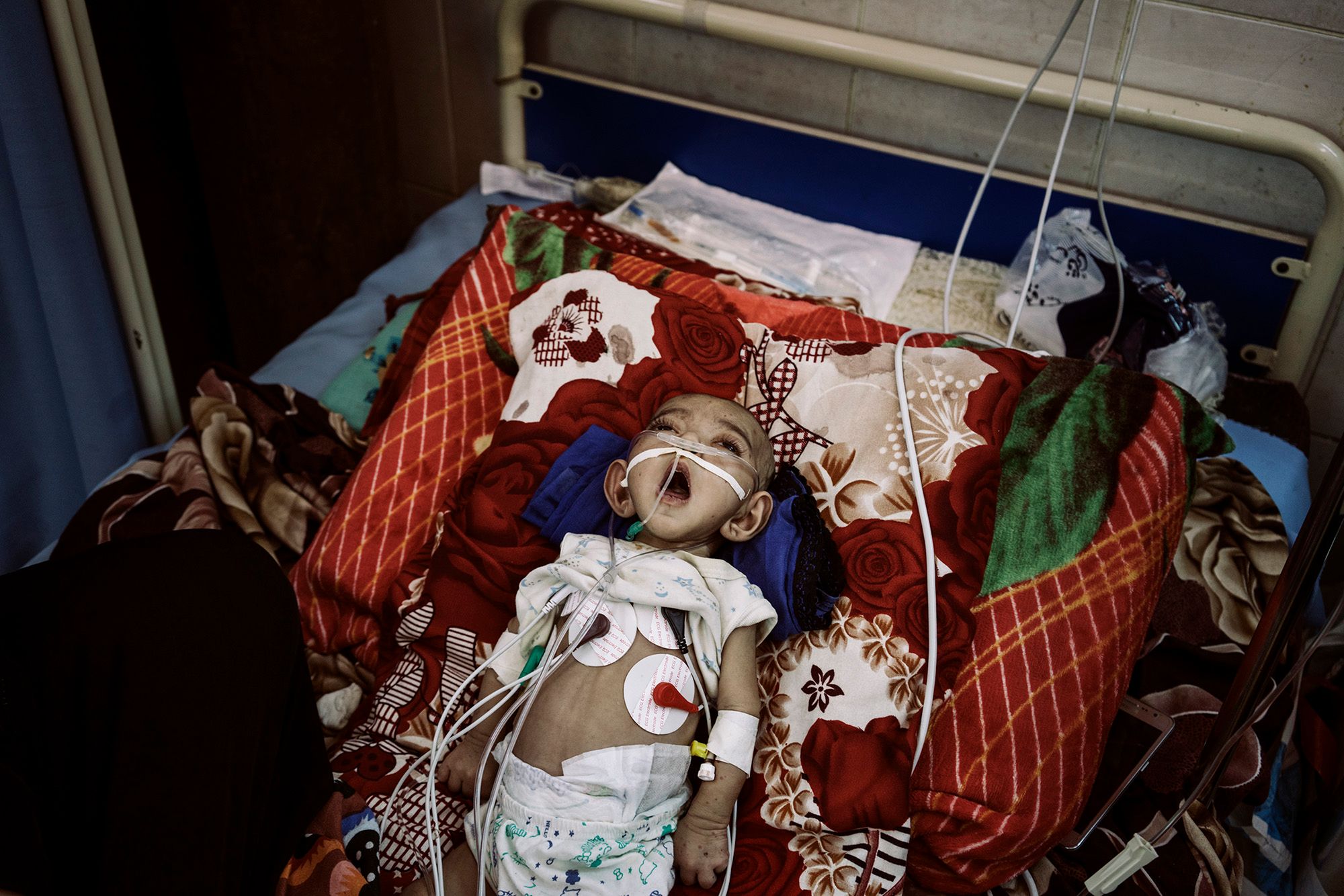 World Press Photo 2019 – znamy nominowanych fotografów 62