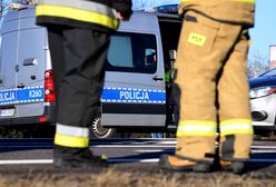 Z dziećmi po jedzenie. Pracownik restauracji wezwał policję