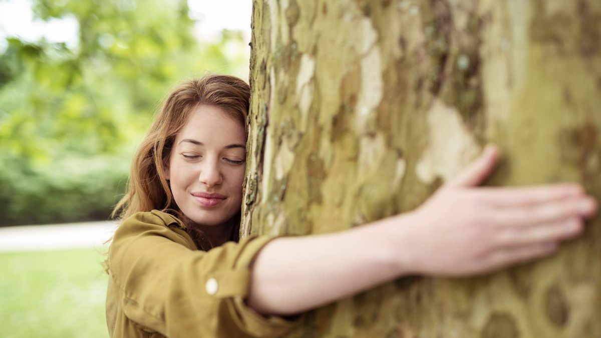 Sylwoterapia, czyli leczenie drzewami