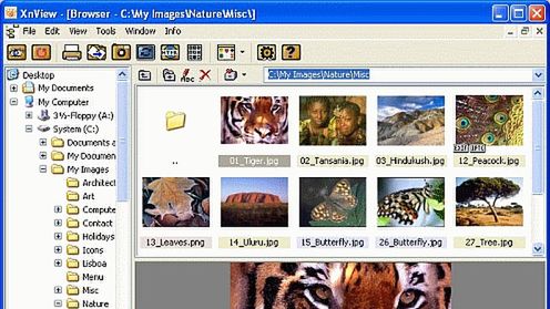 XnView 1.96 w pierwszej wersji Beta 1