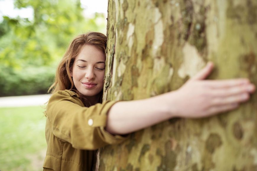 Sylwoterapia, czyli leczenie drzewami