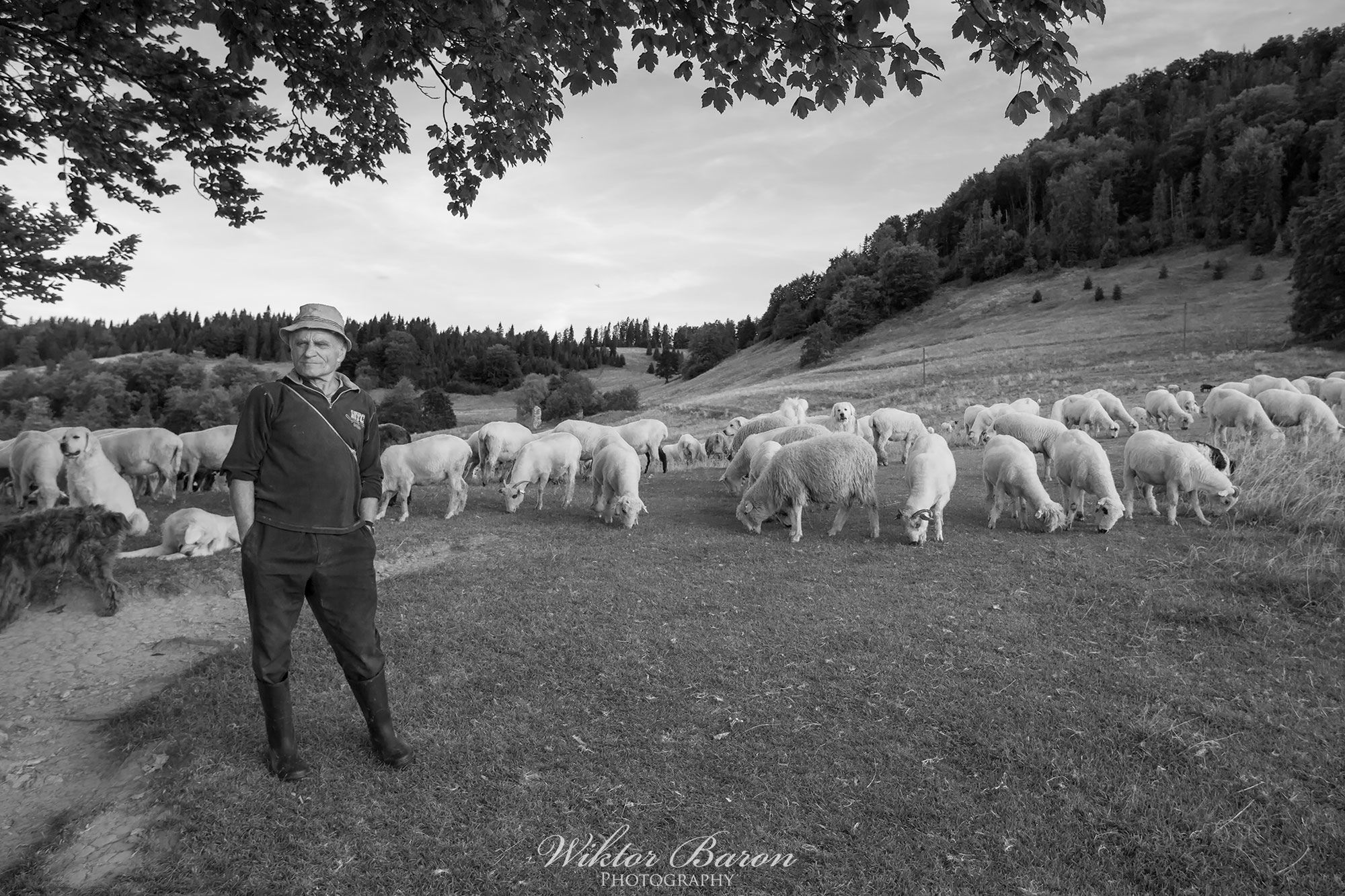 10 najpiękniejszych miejsc do fotografowania w Pieninach 24