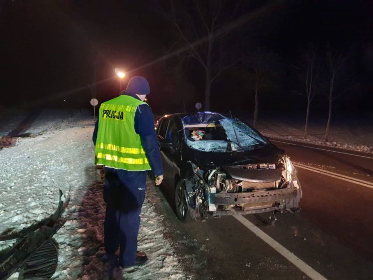 Groźny wypadek z udziałem łosia. Pasażerka nissana trafiła do szpitala