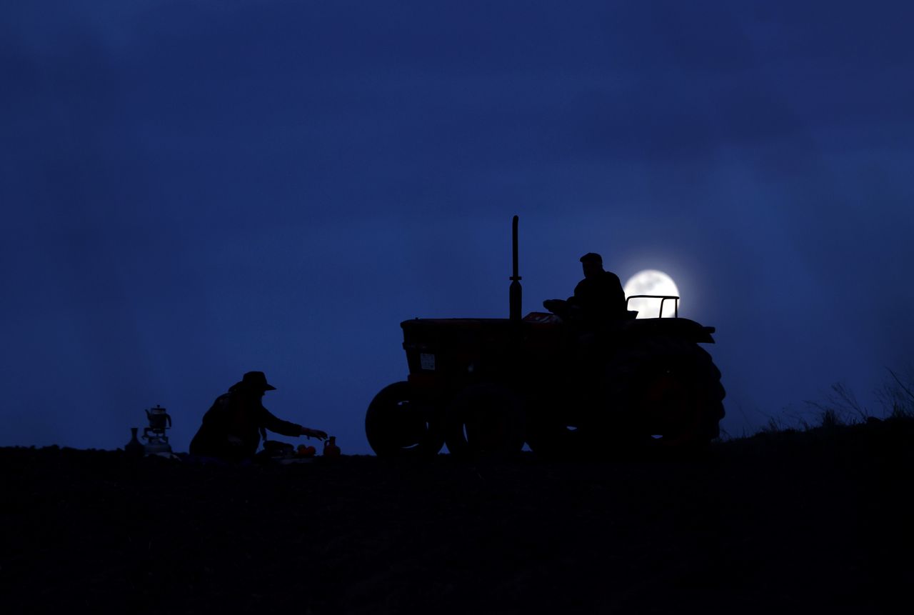 Rolnicy z Turcji zbierają plony nocą. Wszystko przez ekstremalne upały
