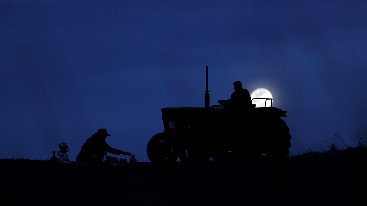 Rolnicy w Turcji pracują nocą