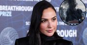 Gwiazdy odpowiadają na atak na Izrael. Gal Gadot apeluje o pomoc