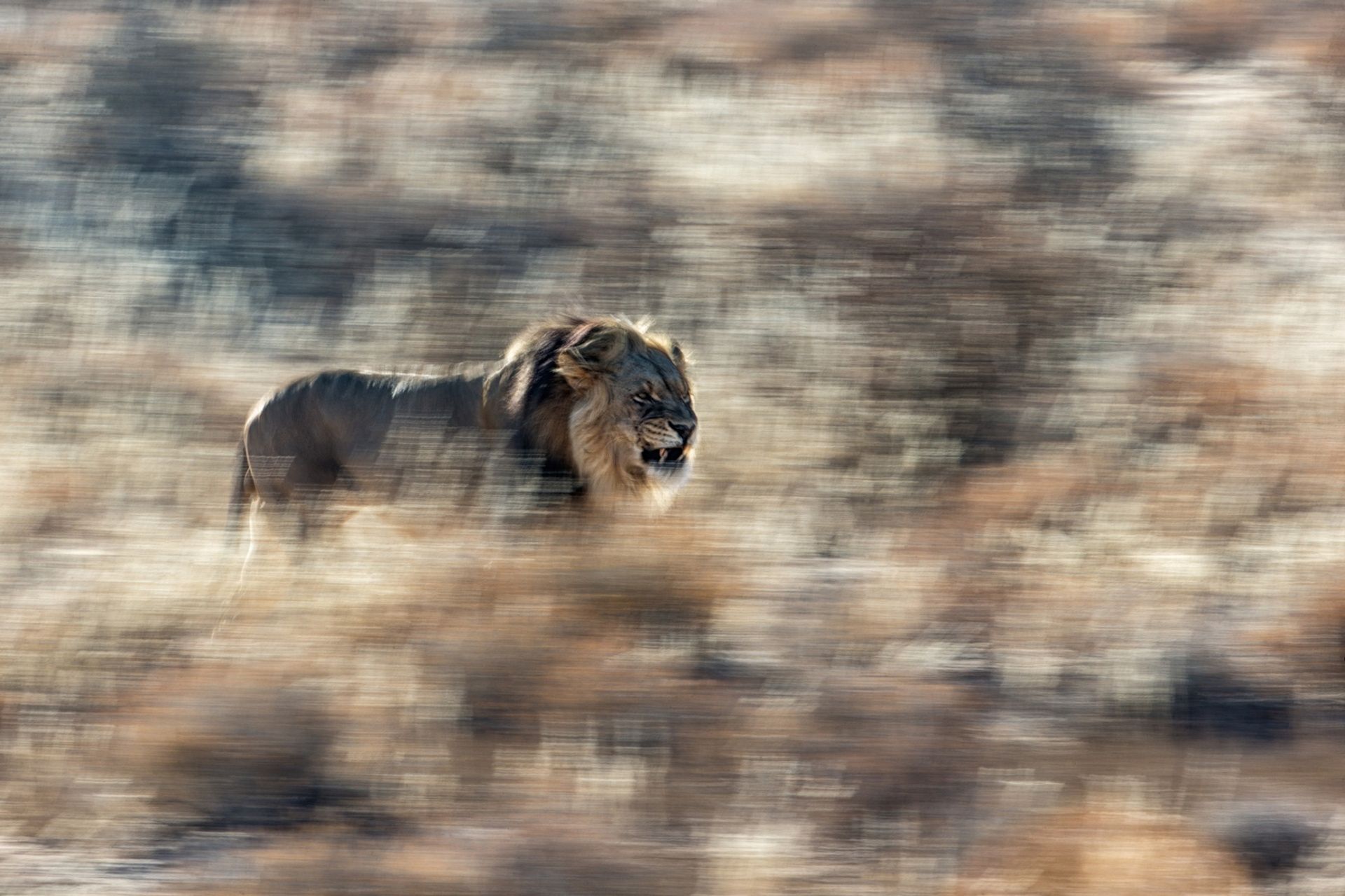 Zachwycająca natura Ziemi na zdjęciach z konkursu Nature Photographer of the Year 2015 5