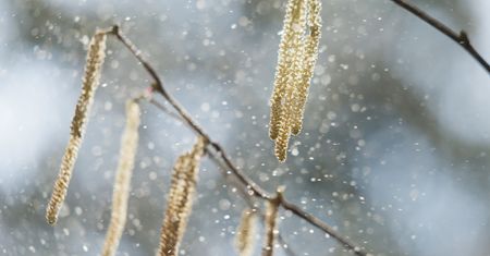 Zmiany klimatyczne nasilają alergie. Wszystko przez wzrost temperatur