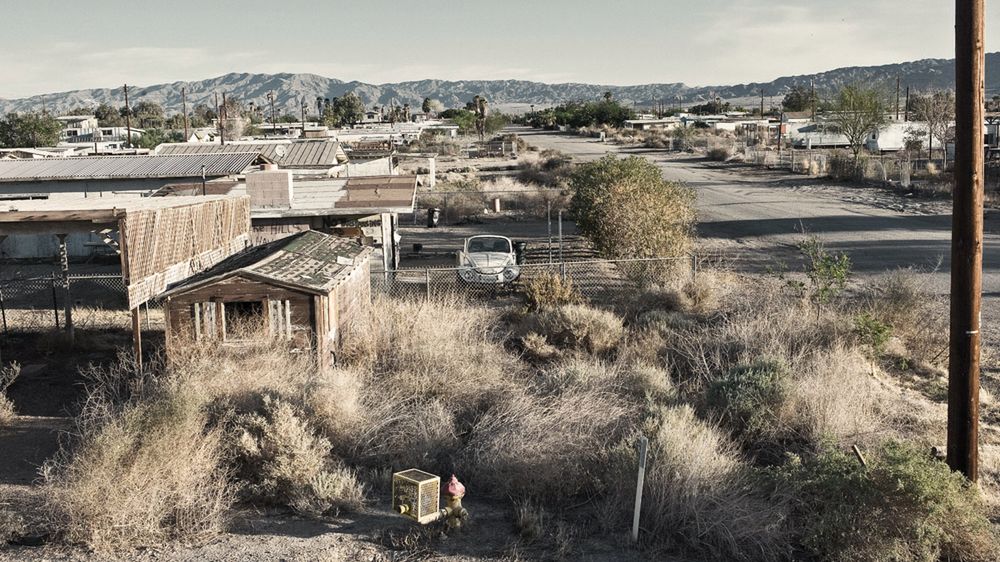 "Into the Wild" Szymona Szcześniaka w Leica Gallery 1