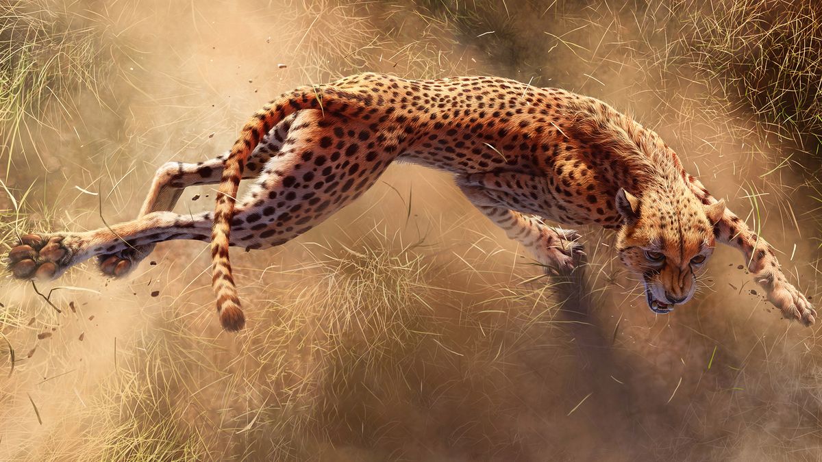 Zobacz, jak najnowsza kampania Nat Geo prezentuje krąg życia 1