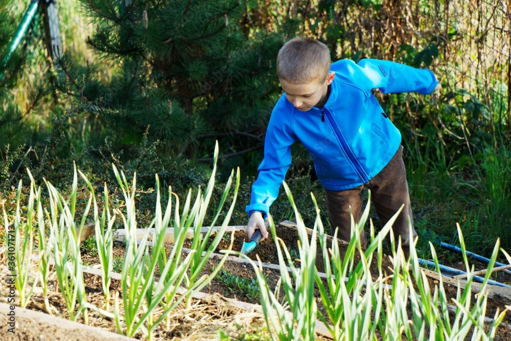 Zrób w majówkę w ogrodzie. Rośliny będą ci wdzięczne