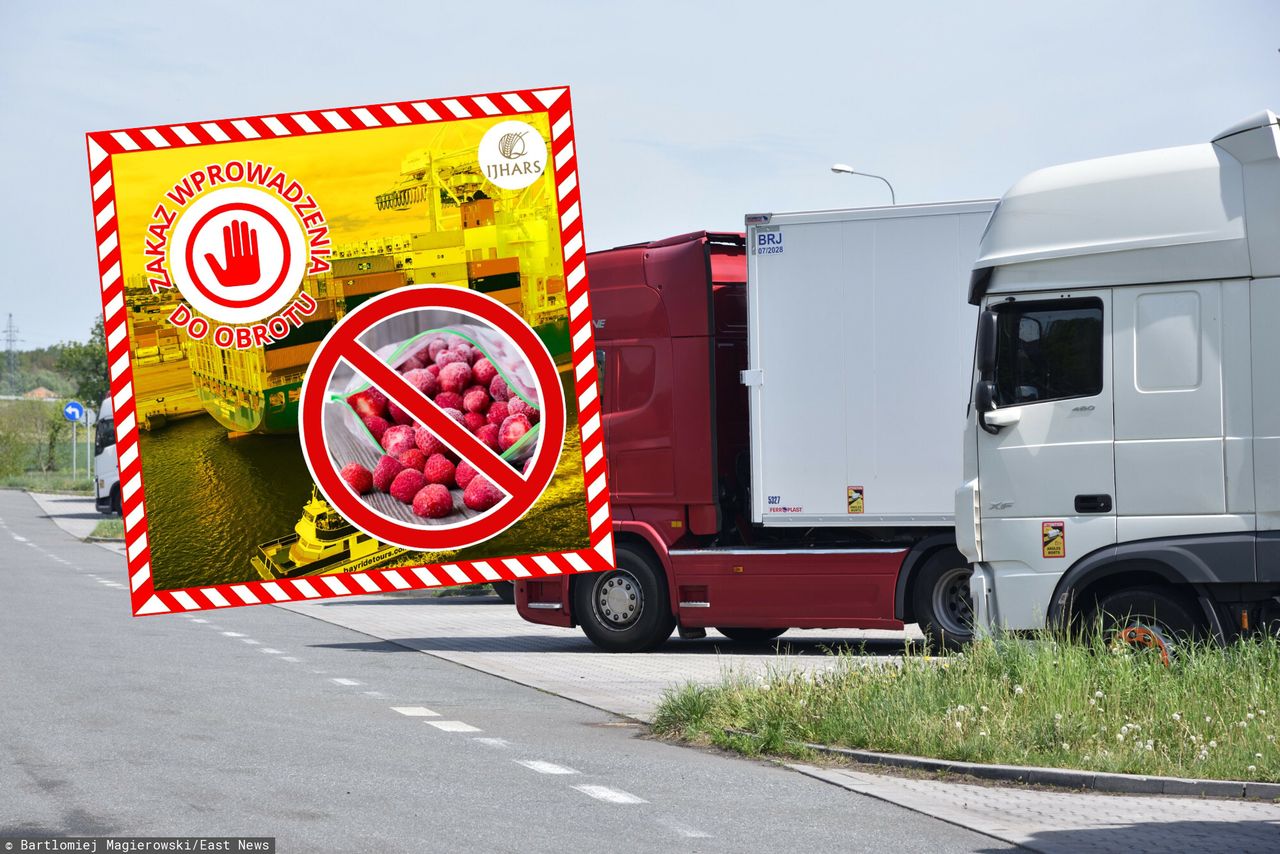 100 tys. kg spleśniałych truskawek. Odrażające odkrycie