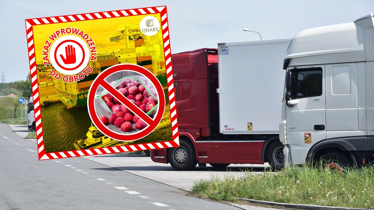 Służby zatrzymały truskawki z Egiptu