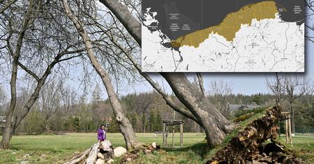 Nawet 80 km/h. IMGW wydało ostrzeżenia