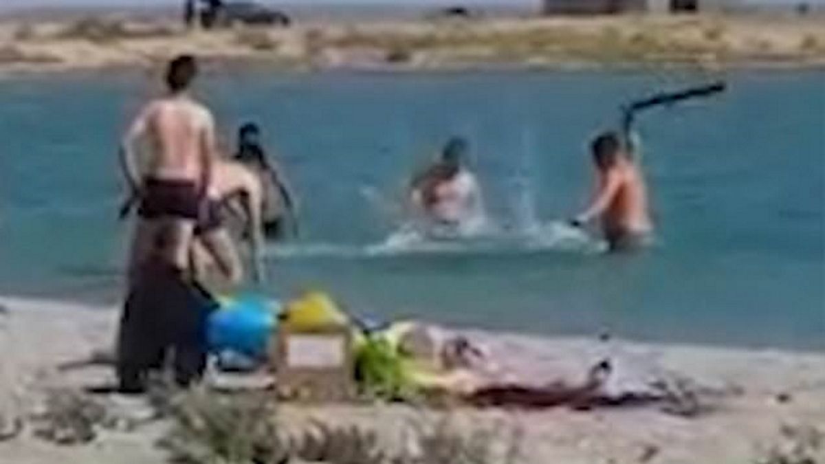 Turyści bijący fokę na plaży, fot. Roksana Panashchuk