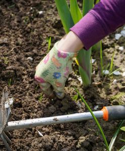 Kalendarz biodynamiczny na 2023 rok. Kiedy rozpocząć prace w ogrodzie?