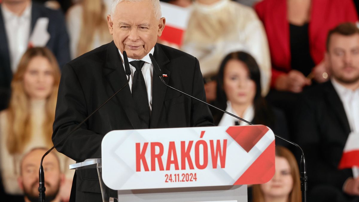 Konwencja PiS w Krakowie, listopad 2024 r. 