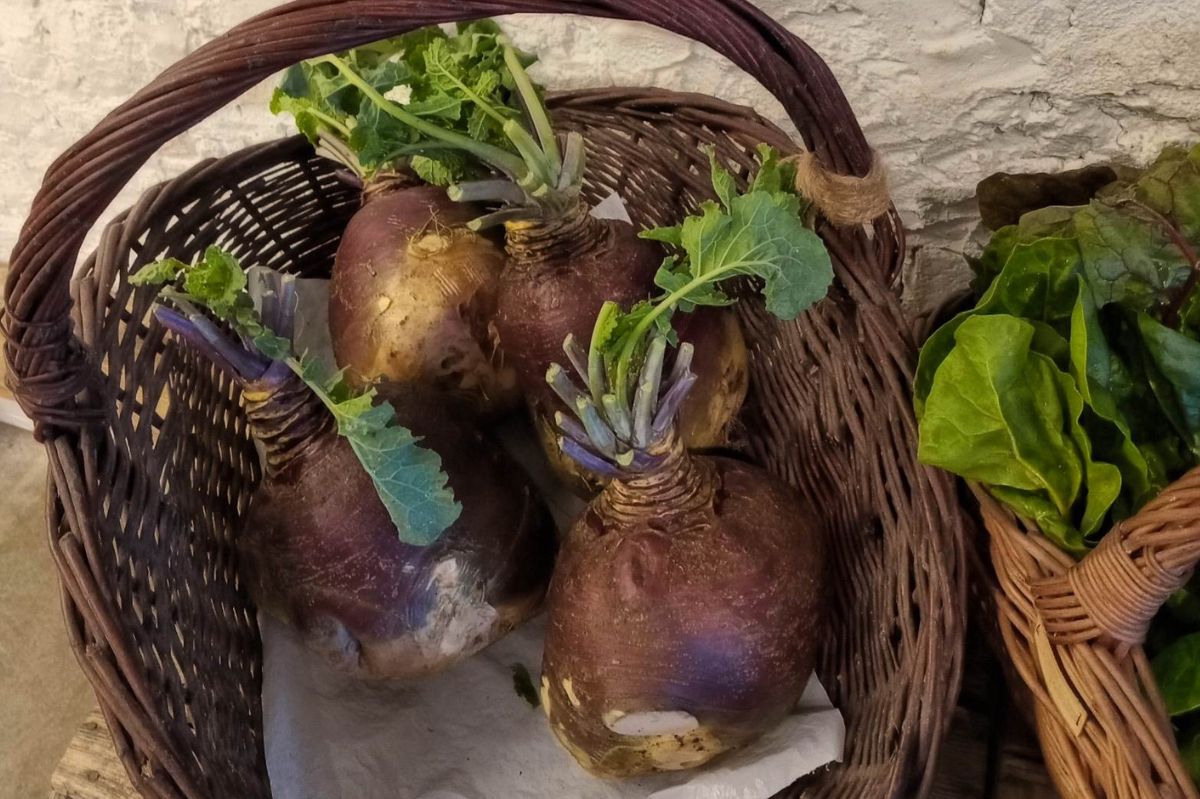 Na Podbeskidziu jedzą jesienią kwaki. Słodko-ostry smak podkręci niejedną surówkę