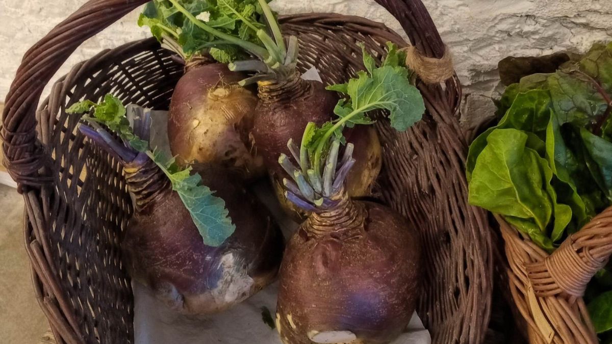 Brukiew praktycznie zniknęła ze stołów