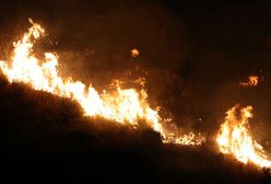 Pożary na Cyprze. "Nigdy wcześniej nie oglądaliśmy czegoś podobnego"
