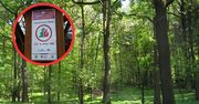 Majówka bez wizyty w lesie? MSWiA uspokaja