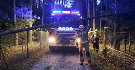 Wichury nad Polską. Strażacy wezwani do 900 interwencji, 2 osoby zostały ranne
