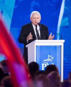 Jarosław Kaczyński nie jest już prezesem PiS? Znaleźli lukę w statucie partii. Mamy odpowiedź