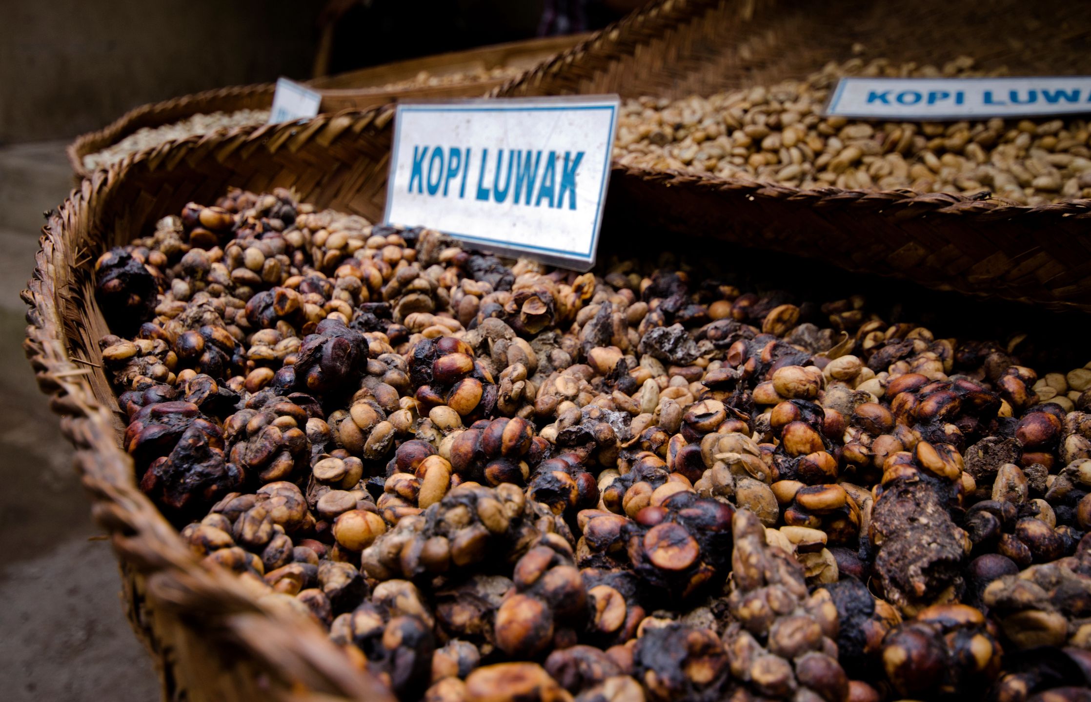 Kawa luwak