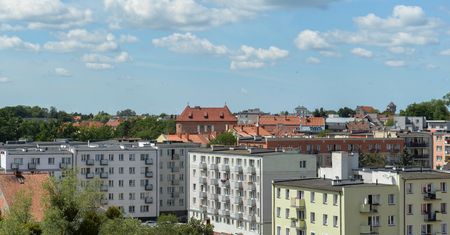 Nietypowy pomysł. Zatrudnili artystkę, żeby zaoszczędzić na remontach