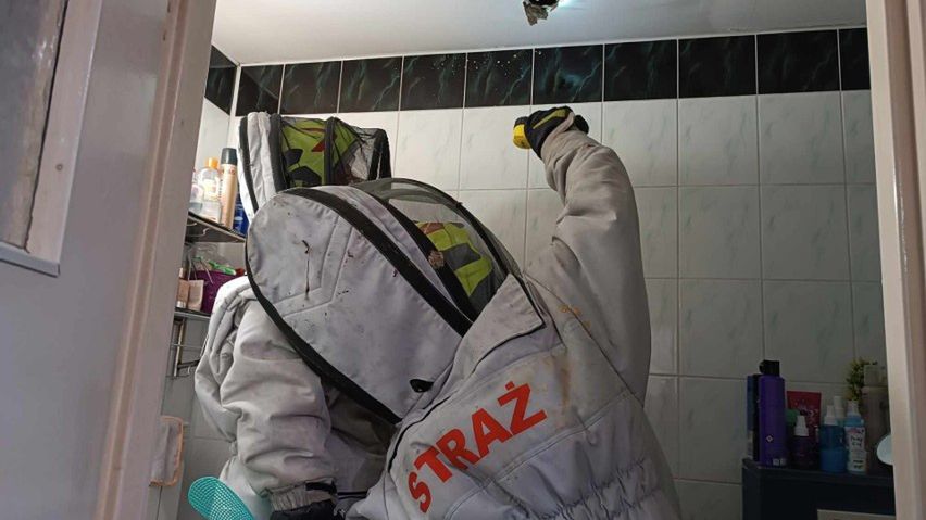 Dzielin strażacy z Moszczenicy interweniowali w domu zaatakowanym przez osy