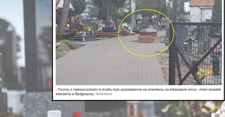 Na cmentarzu w Bydgoszczy chwycił za telefon. Tylko spójrzcie na trumny