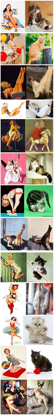 Dziewczyny pin-up i słodkie koteczki w tych samych pozach! Panowie, co wolicie? 2