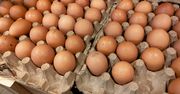 Awantura o jaja z Dino. Sieci handlowe nie zmieniają decyzji