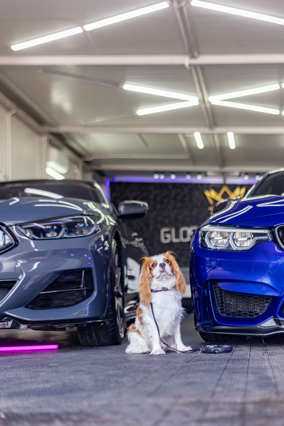 30 sierpnia w Toruniu odbyło się Auto Moto Show