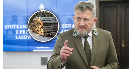 Zysk dwa razy większy. Lasy Państwowe ujawniły wstępne wyniki finansowe