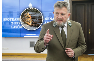 Zysk dwa razy większy. Lasy Państwowe ujawniły wstępne wyniki finansowe