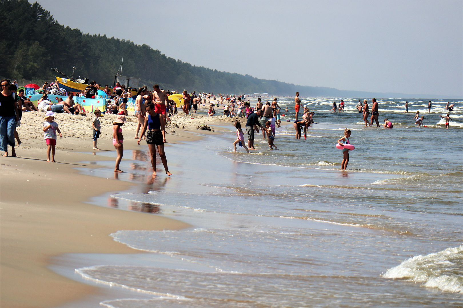 Dzik na plaży w Międzyzdrojach. Turyści przerażeni