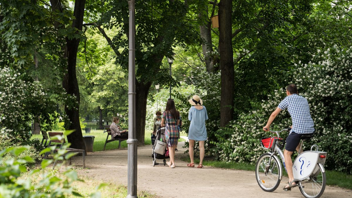 Karta Dużej Rodziny przysługuje również rodzicom, którzy odchowali już troje dzieci