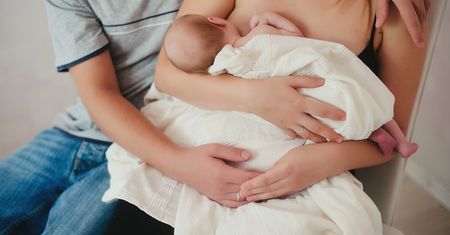 Jak powstaje  pokarm i jak  jest regulowana laktacja ?