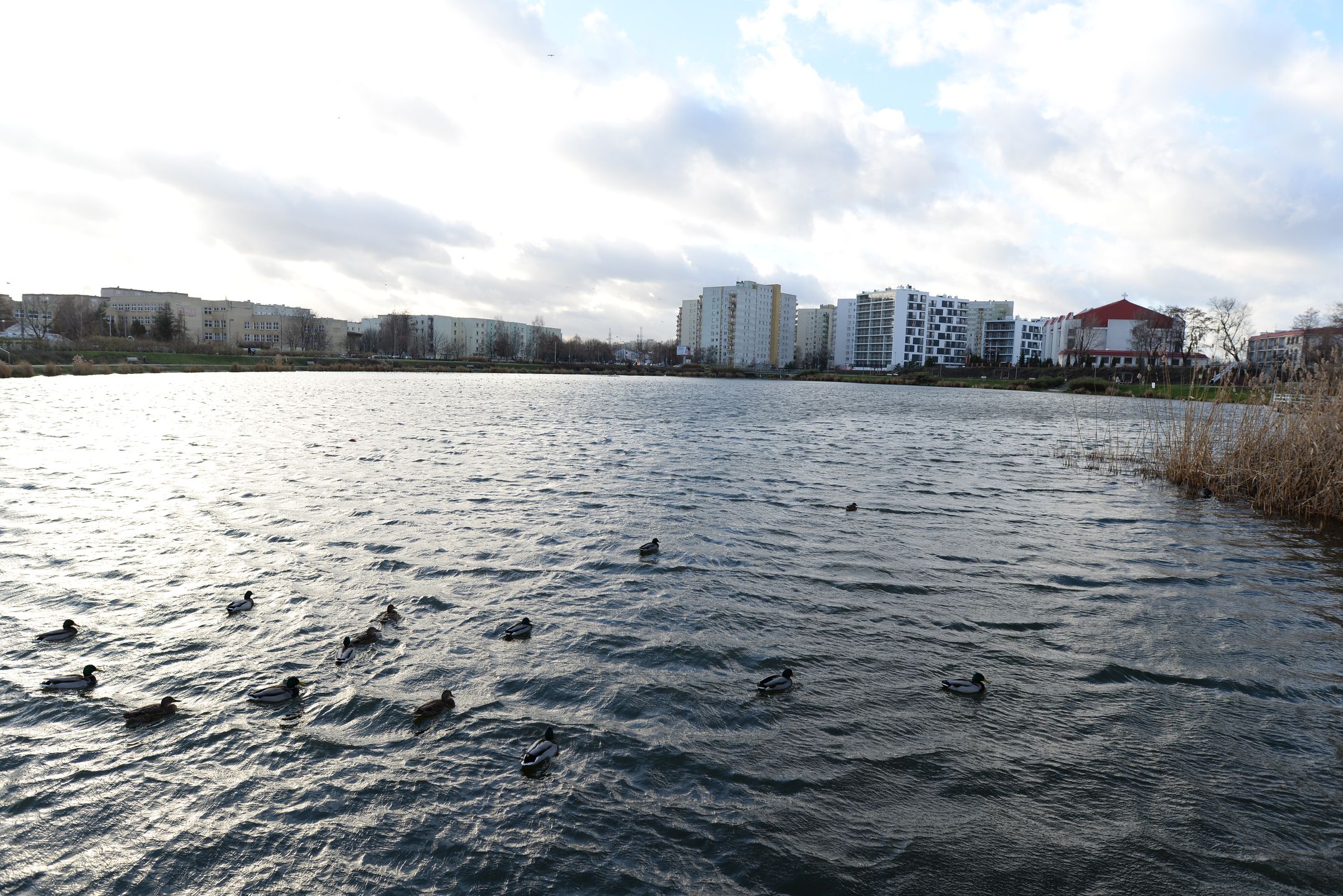Sigma 20 mm F1.4 DG HSM - zdjęcia przykładowe 14