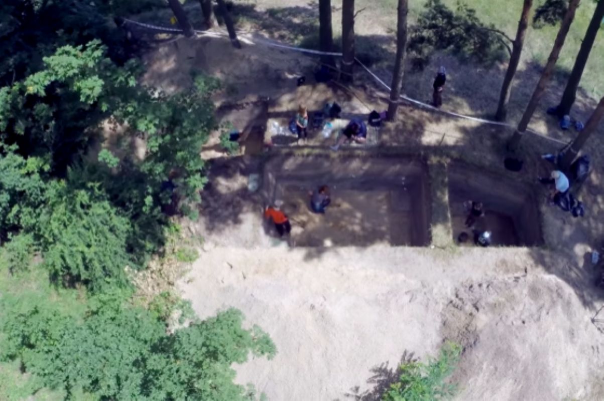 Pochodzą z wczesnej epoki żelaza. Zagadkowe odkrycie w Kałdusie