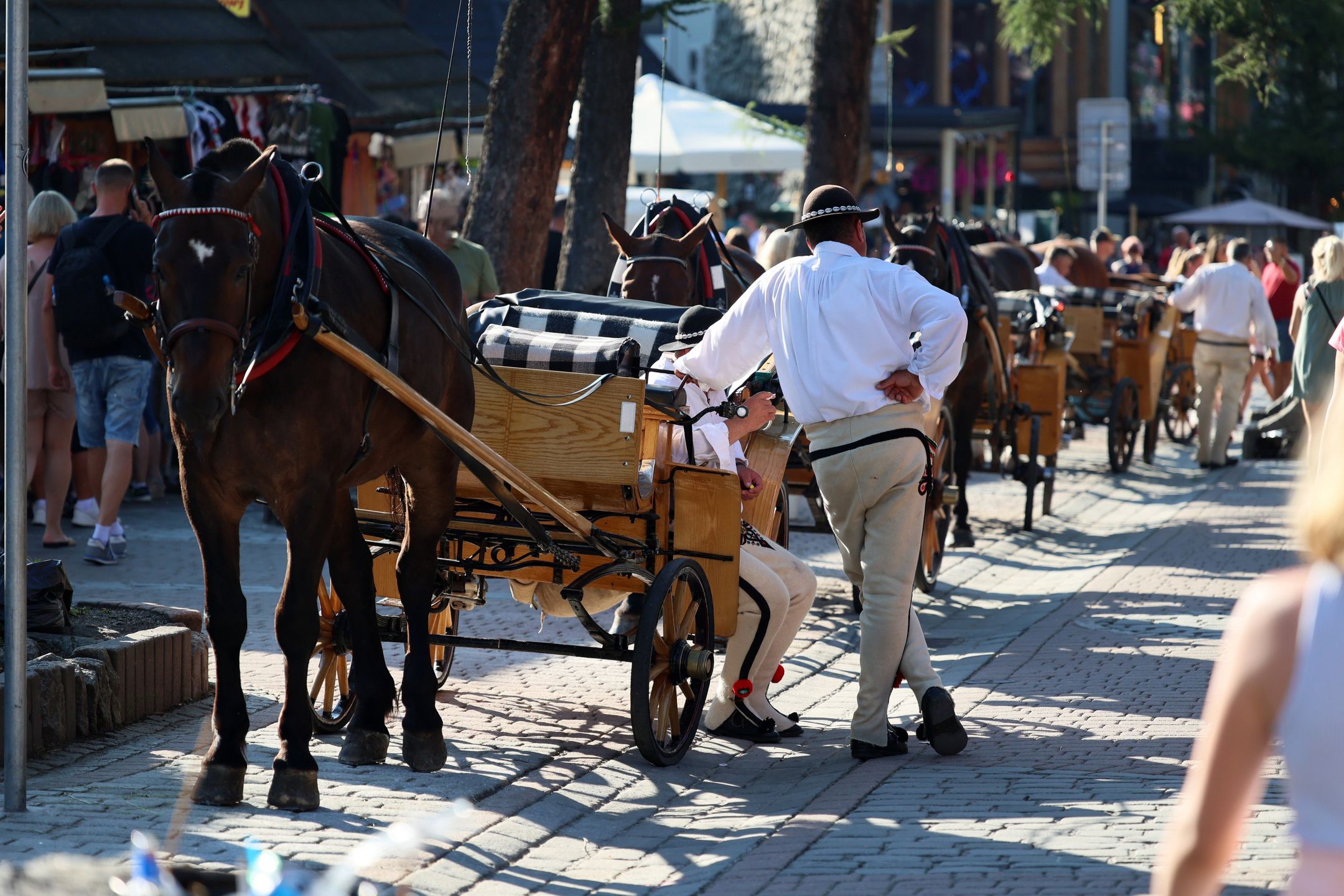 zakopane, góral