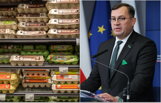 Wiceminister zabrał głos ws. cen jajek. "Sytuacja jest dynamiczna"