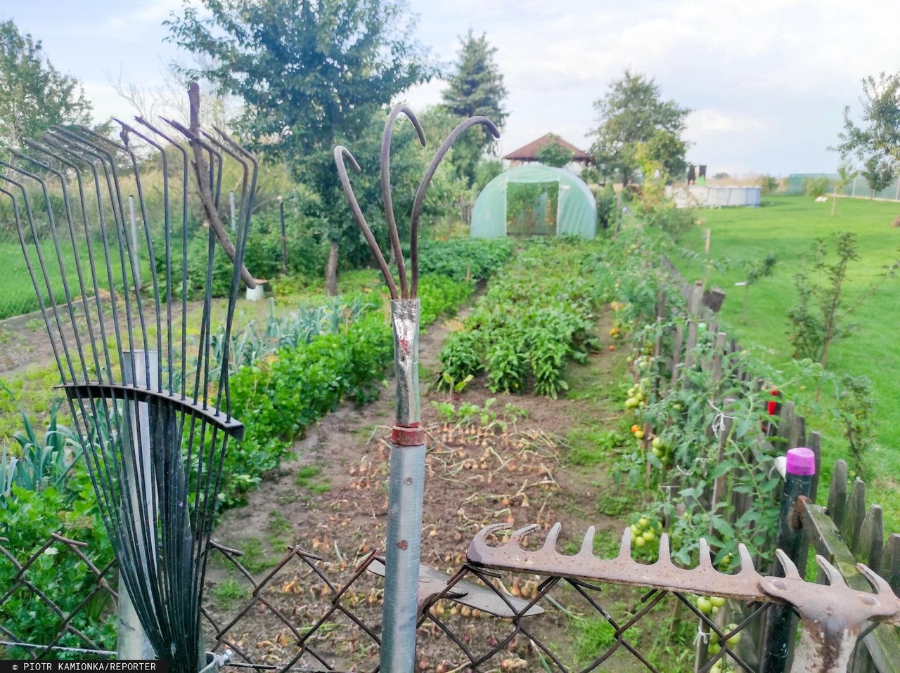 Działkowcy apelują o korektę rozporządzenia w sprawie tzw. planów ogólnych